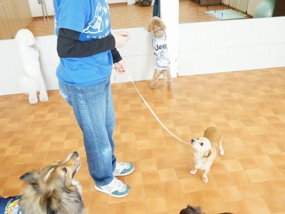 授業の様子♪ 84のサムネイル