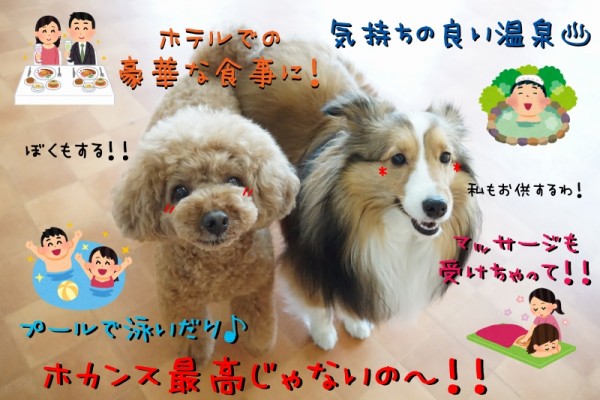 ホテルのサービスを堪能しよう！！