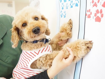 授業の様子♪ 85のサムネイル