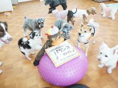 授業の様子♪ 82のサムネイル