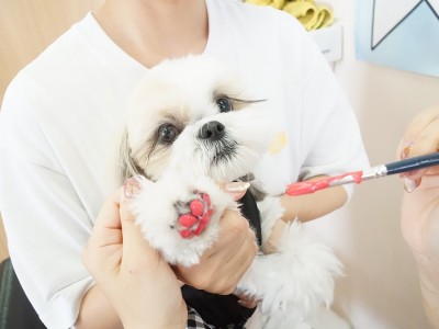 授業の様子♪ 82のサムネイル