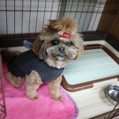 授業の様子♪ 73