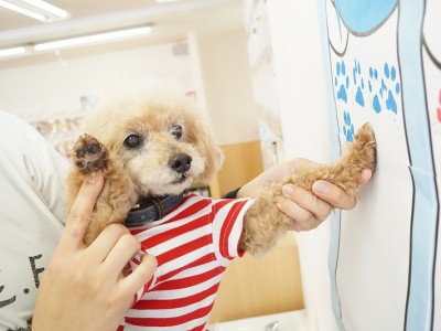 授業の様子♪ 84のサムネイル