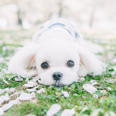 春の撮影会🌸2025年①