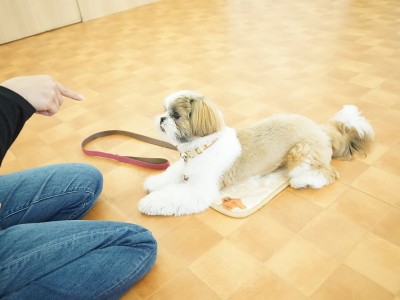 授業の様子♪ 83のサムネイル