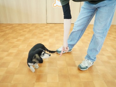 授業の様子♪ 85のサムネイル