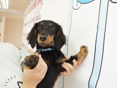 授業の様子♪ 81のサムネイル