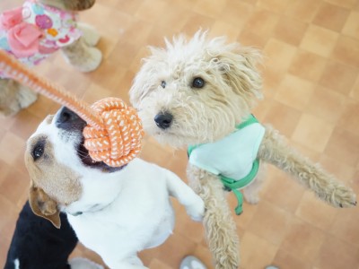 授業の様子♪ 82のサムネイル