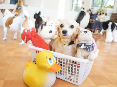 授業の様子♪ 81のサムネイル