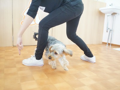 授業の様子♪ 81のサムネイル