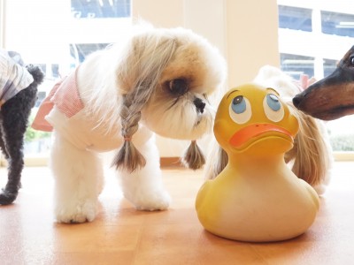 授業の様子♪ 84のサムネイル