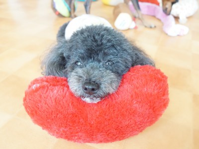 授業の様子♪ 85のサムネイル