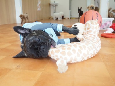 授業の様子♪ 86のサムネイル