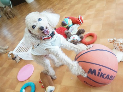 授業の様子♪ 87のサムネイル