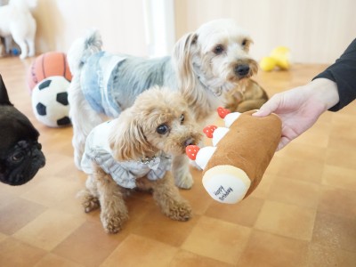 授業の様子♪ 88のサムネイル