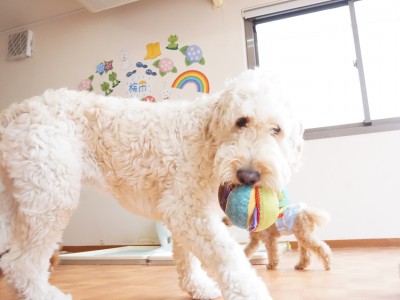 授業の様子♪ 89のサムネイル