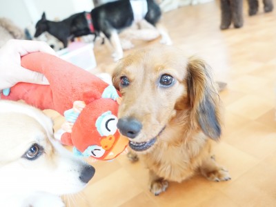 授業の様子♪ 83のサムネイル