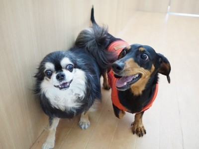 今までの思い出 【86】のサムネイル