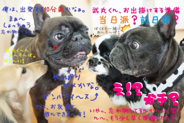 お泊りの準備って前日派？当日派？