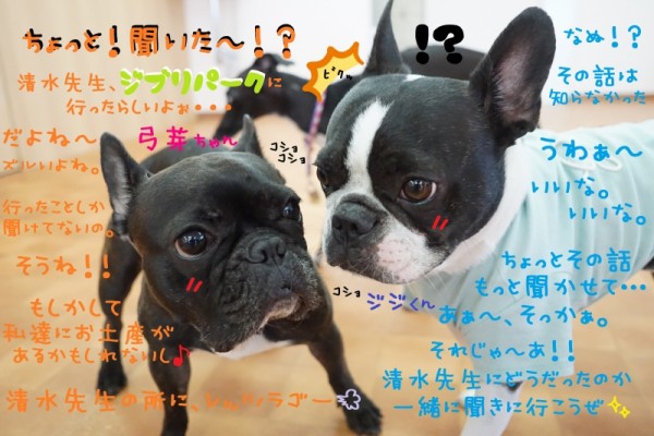 ジブリパークに行って来ましたぁ～🎶