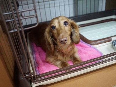 授業の様子♪ 81のサムネイル