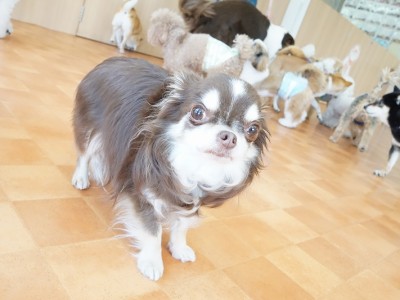 今までの思い出 【87】のサムネイル