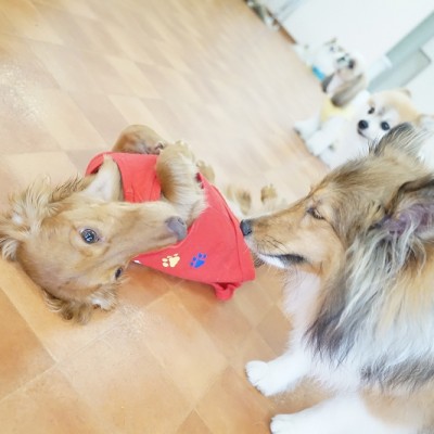 今までの思い出 【86】