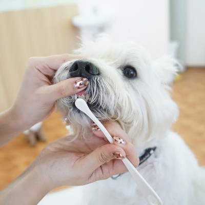 授業の様子♪ 72