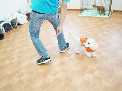 授業の様子♪ 83のサムネイル