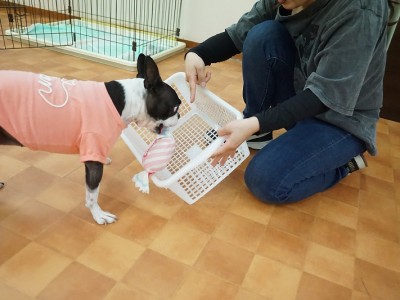 授業の様子♪ 82のサムネイル