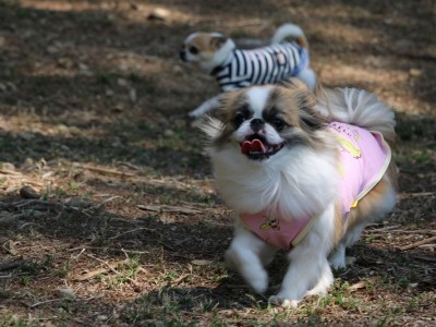 春の遠足ツアーinグランドロックキャッスル③のサムネイル