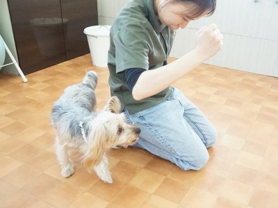 授業の様子♪ 86のサムネイル