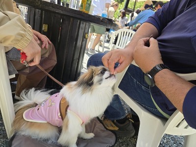 春の遠足ツアーinグランドロックキャッスル③のサムネイル