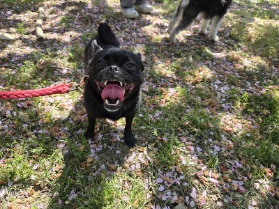 春の遠足ツアーinグランドロックキャッスル③のサムネイル