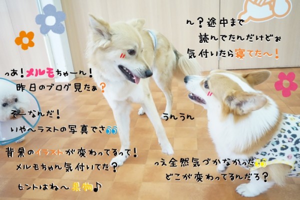 動物園に行っちゃう？👀