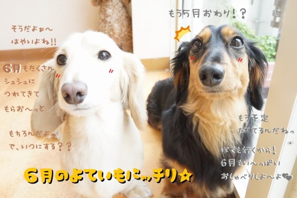 ５月もラスト!!