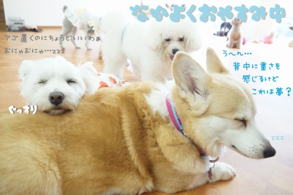 スペシャルWEEK最終日🎂