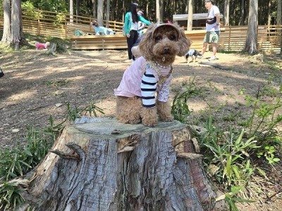 春の遠足ツアーinグランドロックキャッスル③のサムネイル