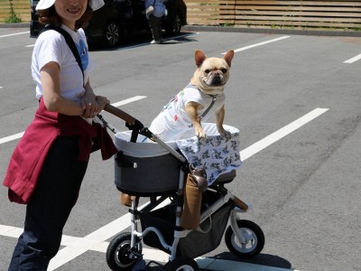 春の遠足ツアーinグランドロックキャッスル③のサムネイル