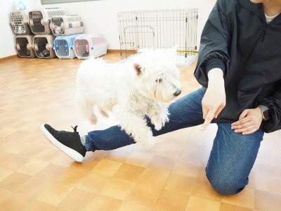 授業の様子♪ 83のサムネイル