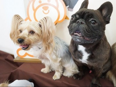 授業の様子♪ 84のサムネイル