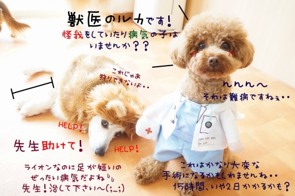 集合写真最終日＼(^o^)／