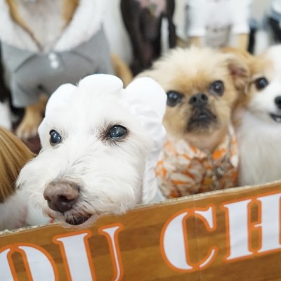 授業の様子♪ 76