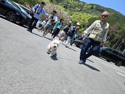 春の遠足ツアーinグランドロックキャッスル③のサムネイル