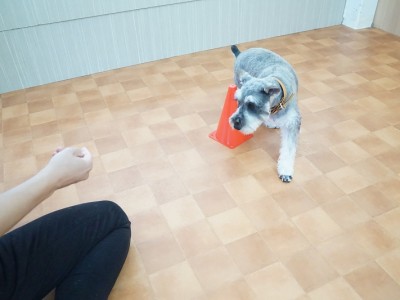 授業の様子♪ 85のサムネイル