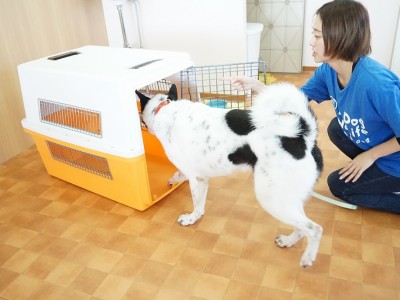 授業の様子♪ 81のサムネイル