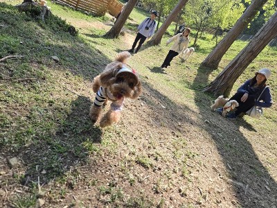 春の遠足ツアーinグランドロックキャッスル③のサムネイル