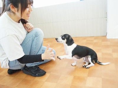 授業の様子♪ 79のサムネイル