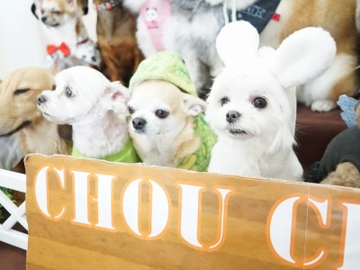 授業の様子♪ 81のサムネイル