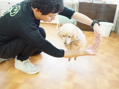 授業の様子♪ 83のサムネイル